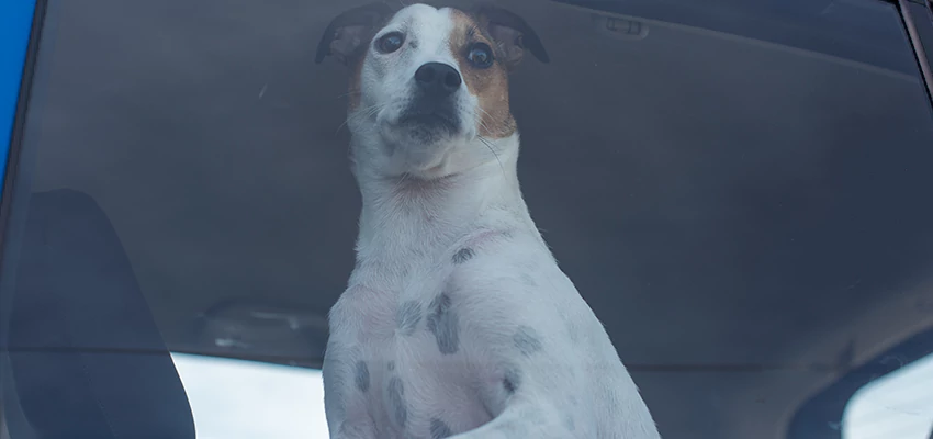 Car Lockout Solutions in San Bernardino, California